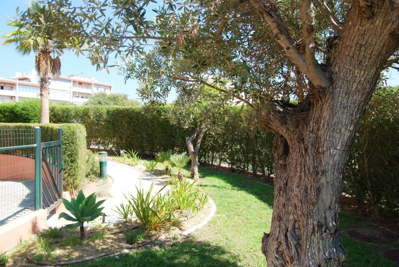 Beautiful Apartment Litoralmar بورتيماو المظهر الخارجي الصورة